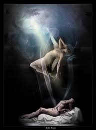 dreems
