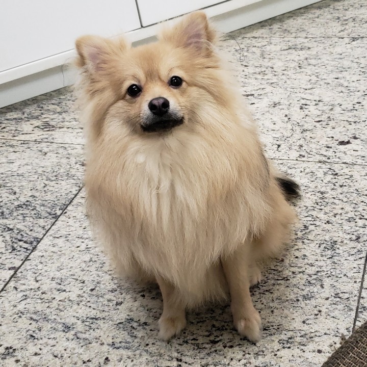 wally