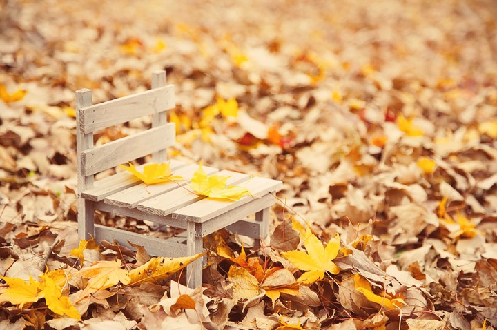 Autumn