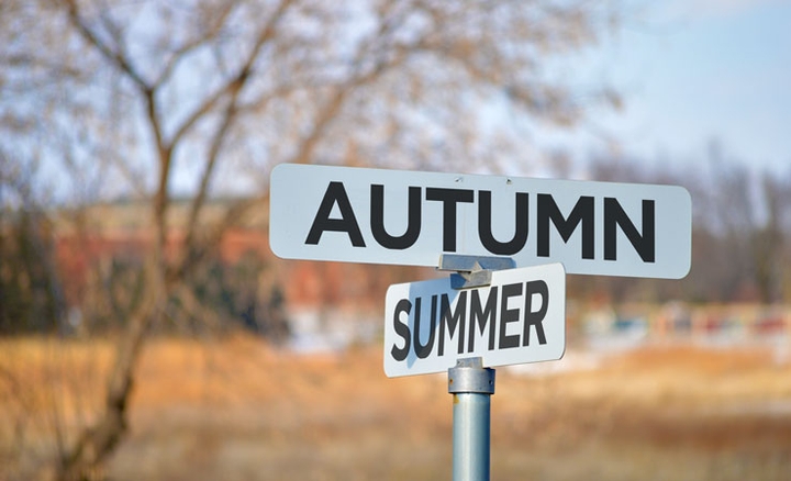 <Autumn> <Summer>