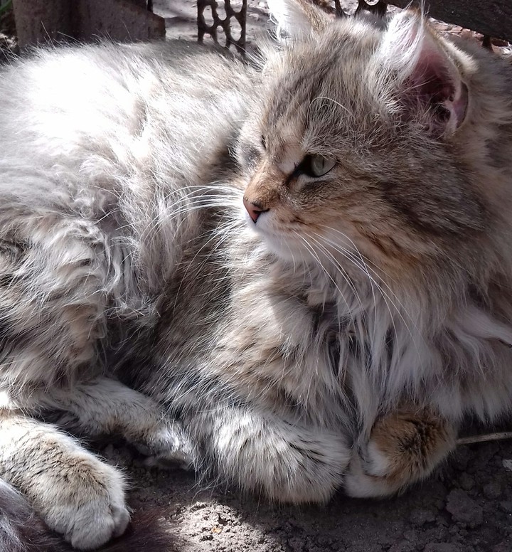 живая природа