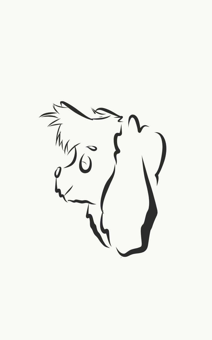 Doodle Dog