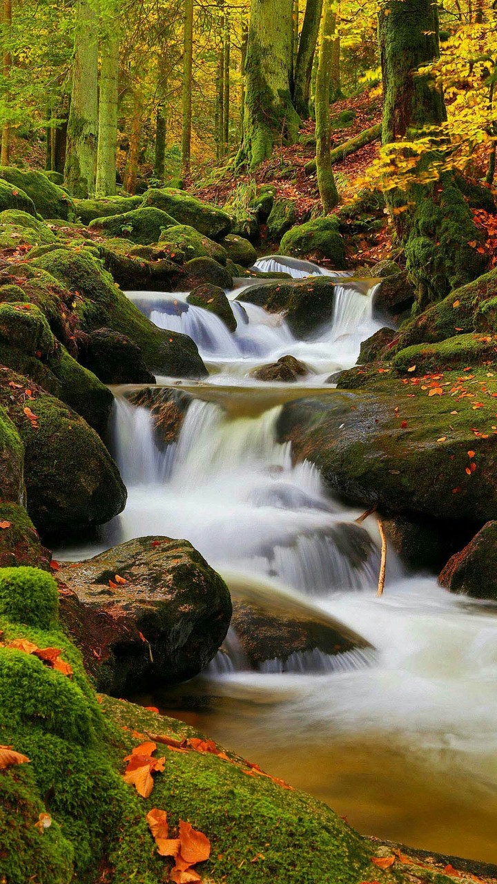 Nature at best