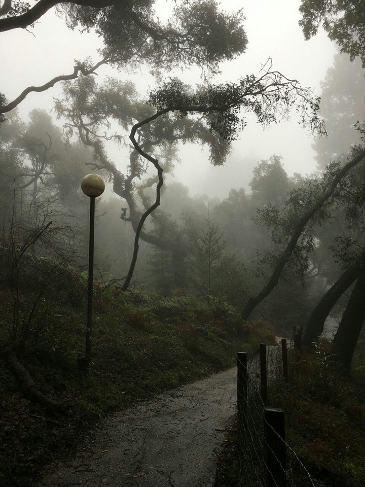 park