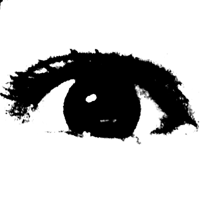Auge