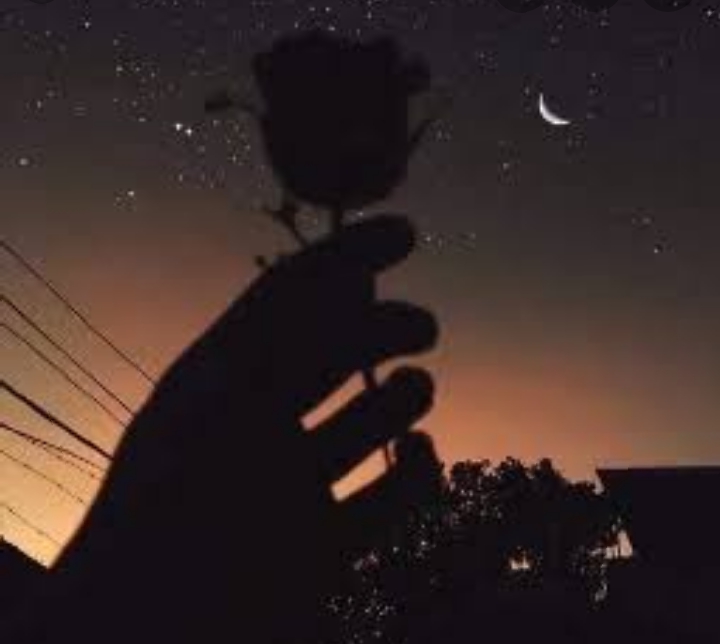 The night (◠‿◕)