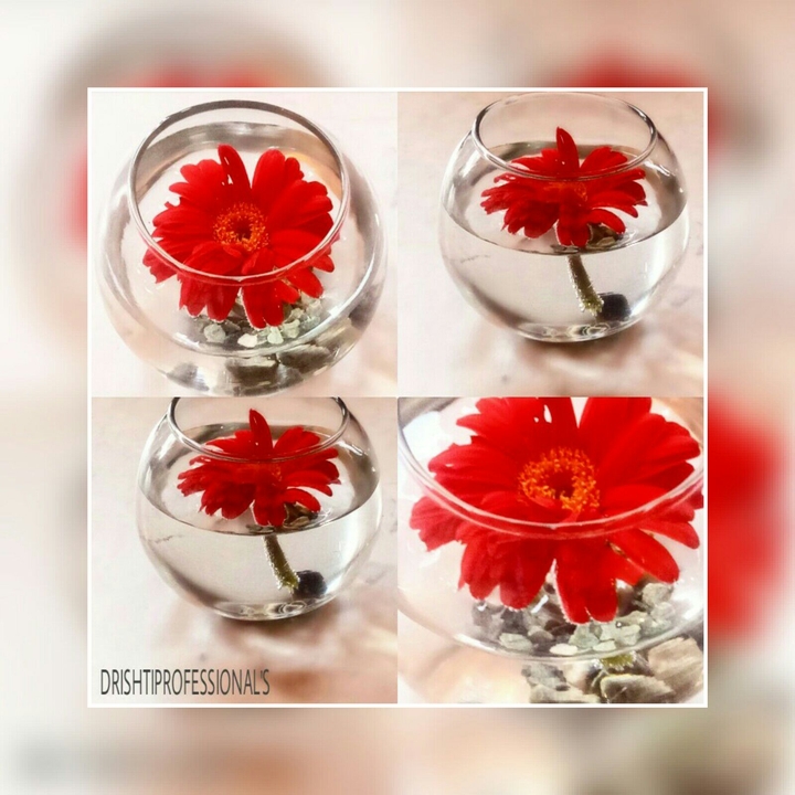 flower in a glass bowl collage by (DRISHTIPROFESSIONAL'S)