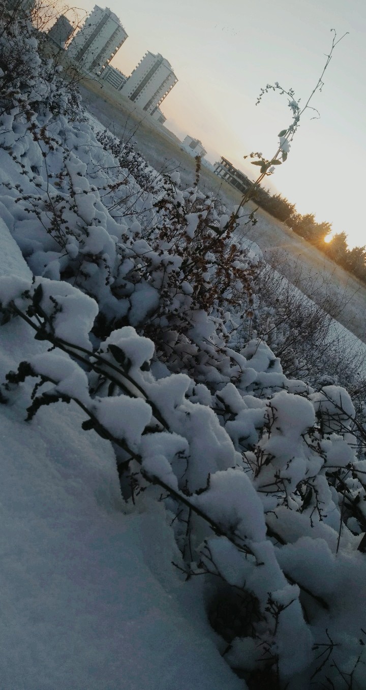 Kar❄️