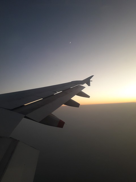 fondos de pantalla sky, wing