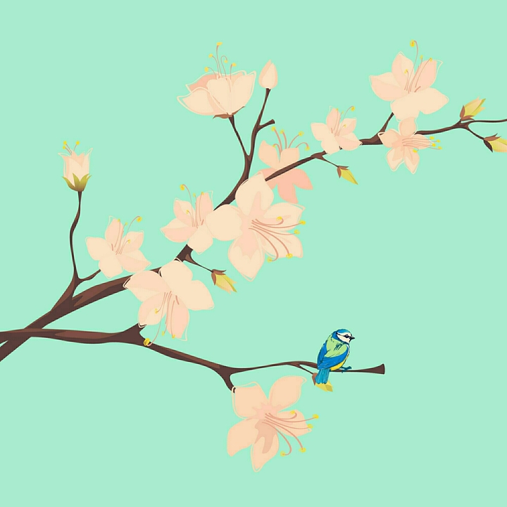 flowers and bird