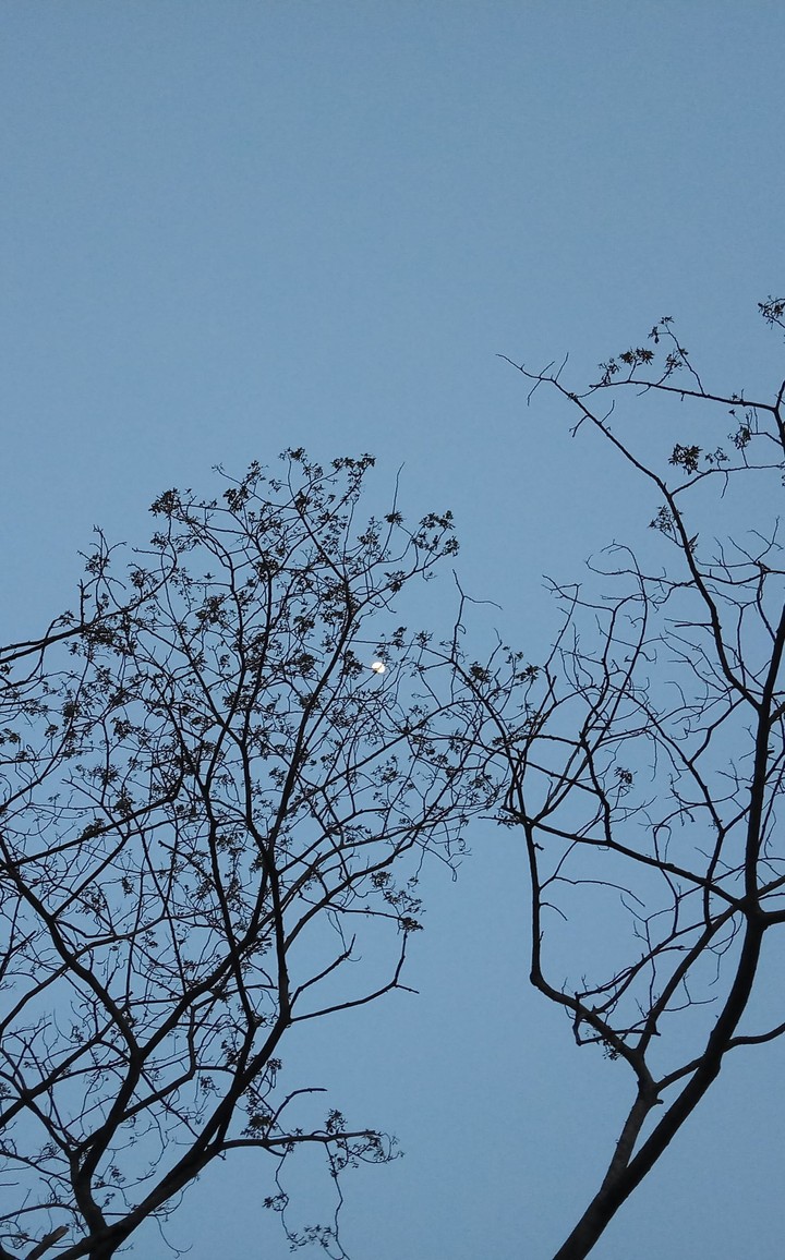 night sky