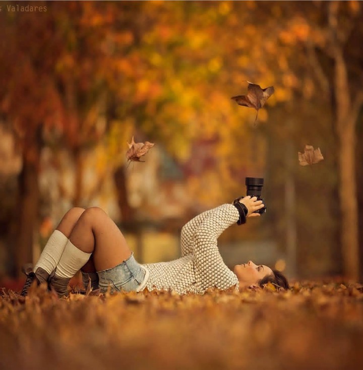 ✴⚂ Autumn