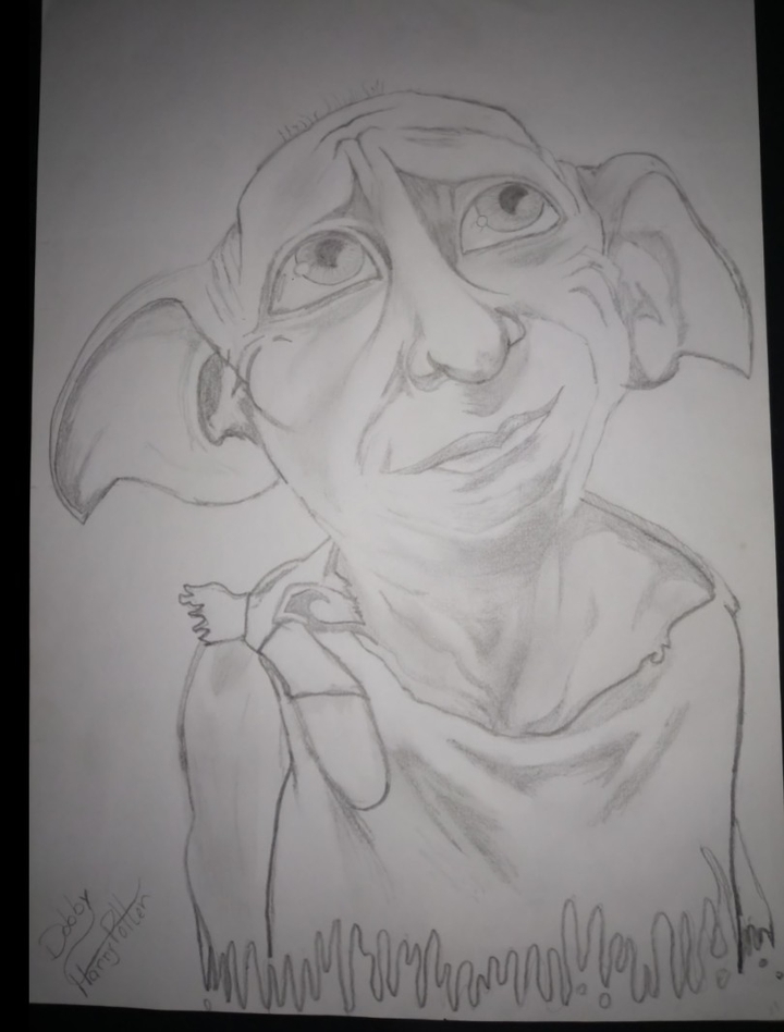 Dobby ?