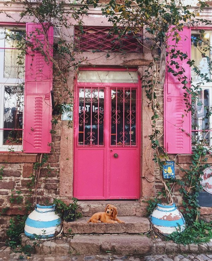 Pink