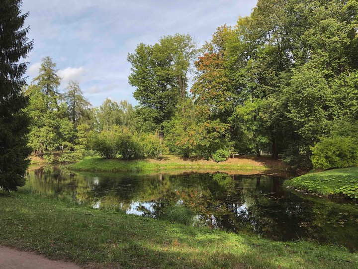 Harmonious garden with pond