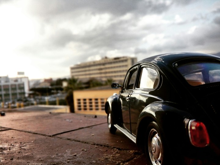 vw beetle