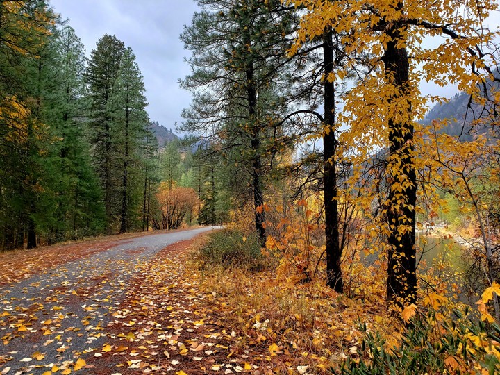 trail