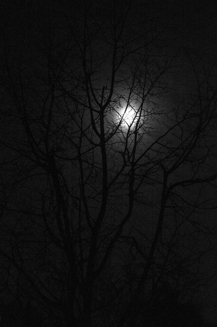 Night