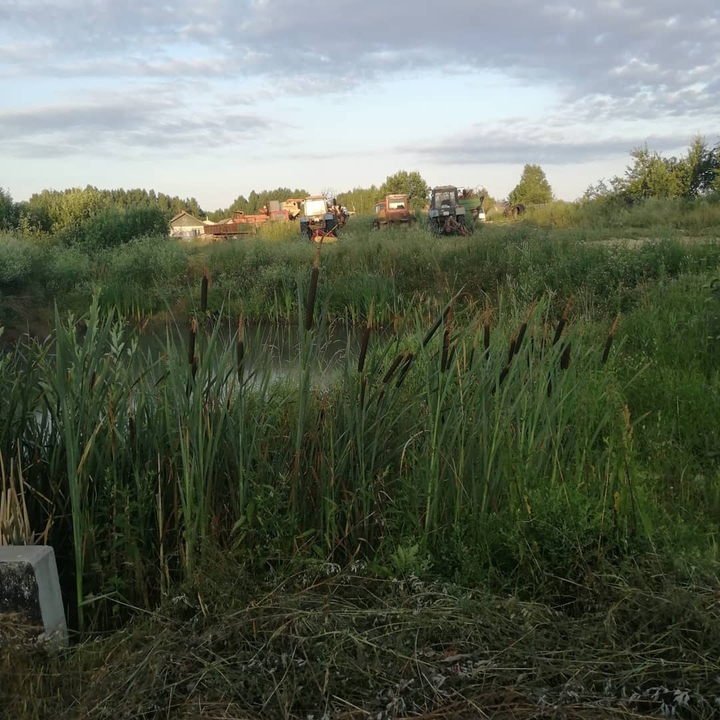 Рассвет. Всем хорошего дня.