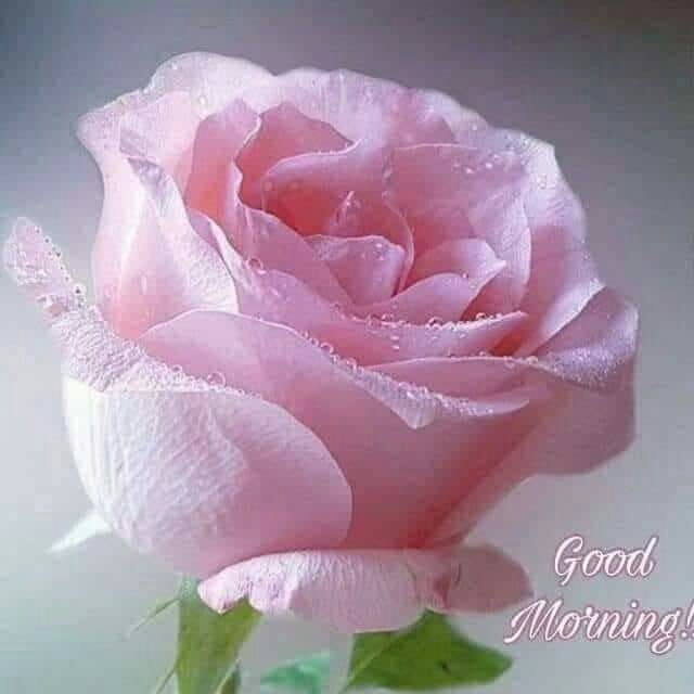 gm