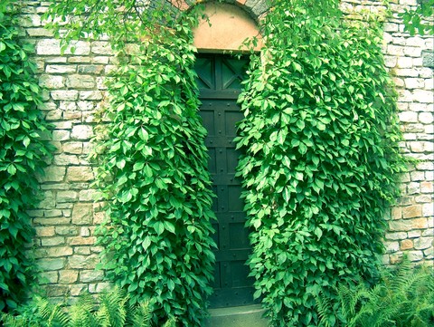 go green