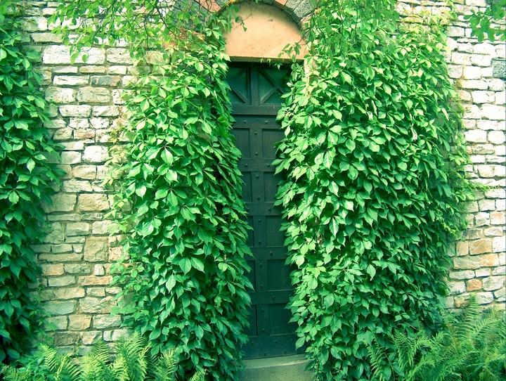 go green