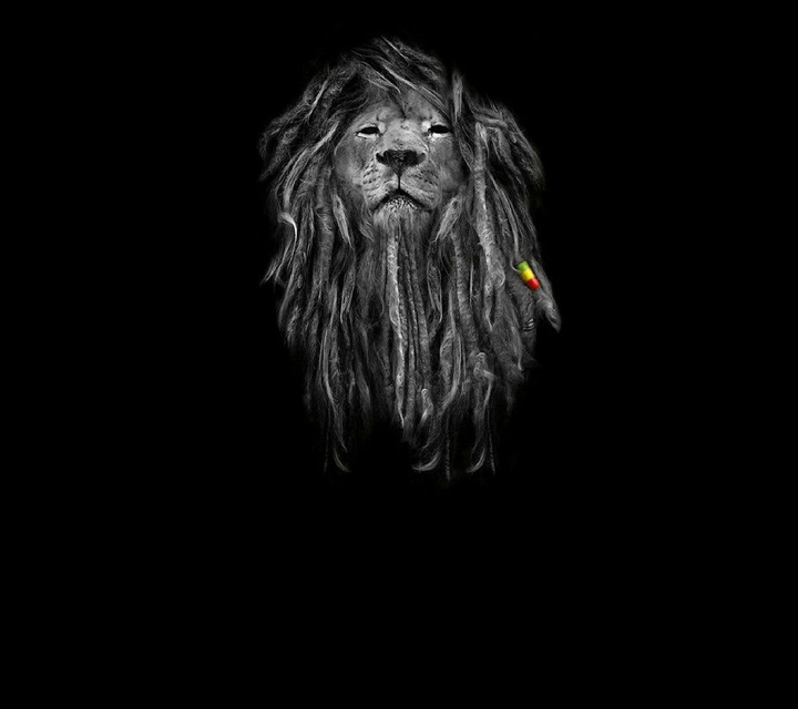 lion