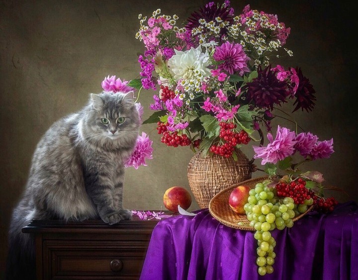 beauty...