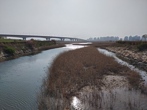 생태공원