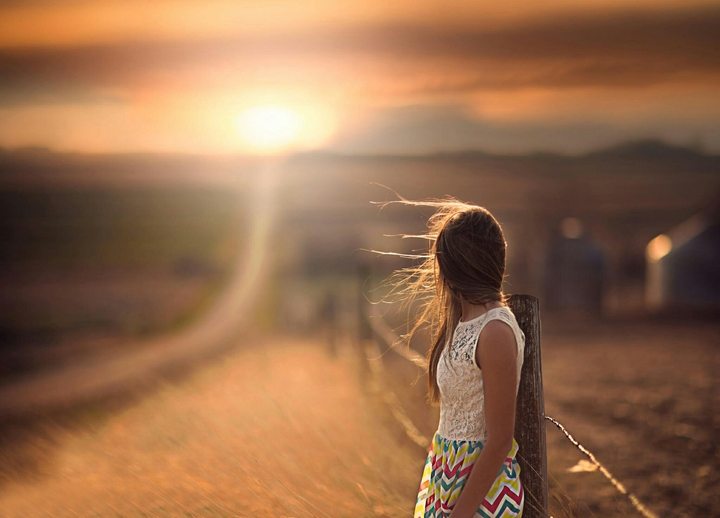 sunlight
