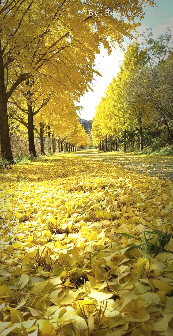 Yellow hello