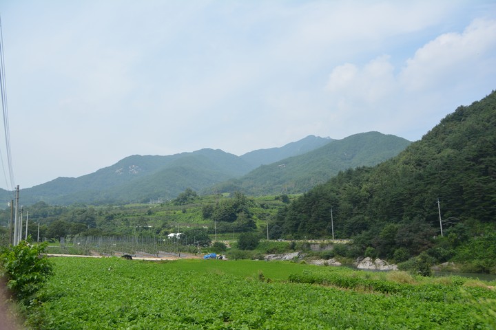 풍경이미지