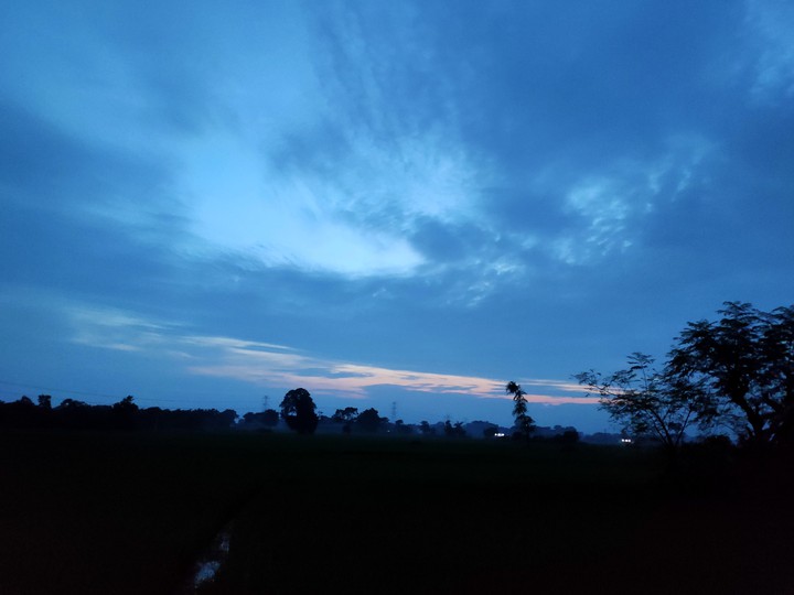 bluefill