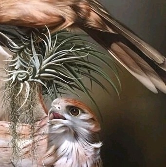 6x puzzle bird
