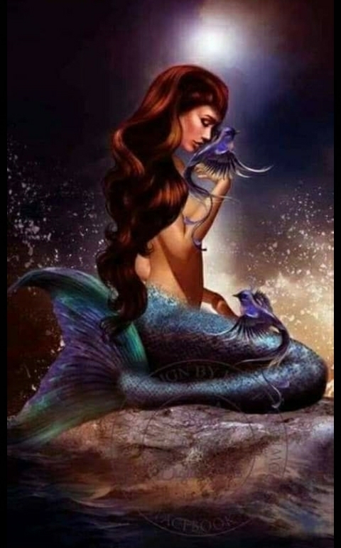 mermaid