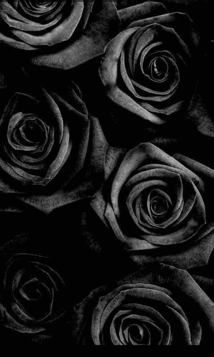 Black roses