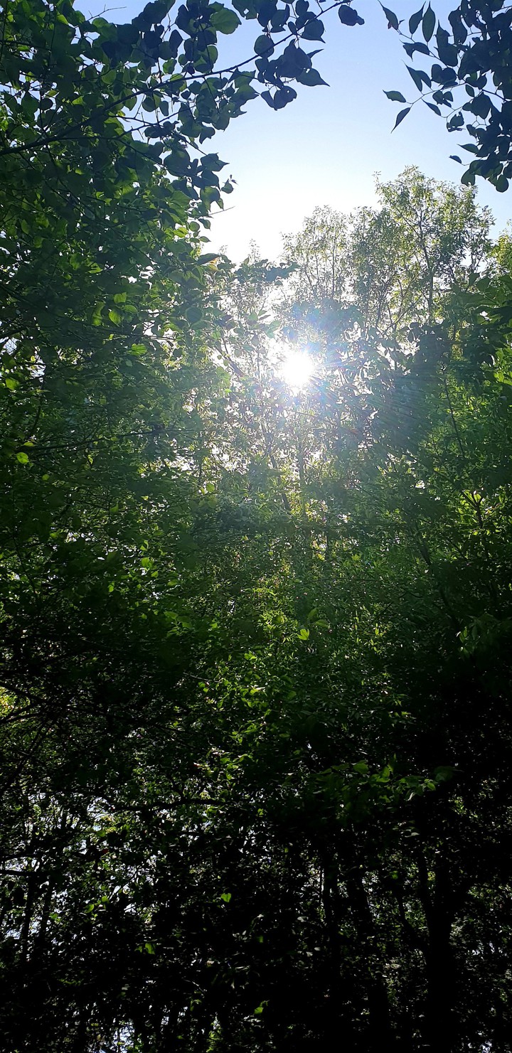 Li9