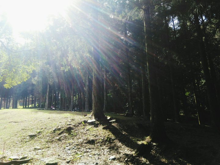 big sun