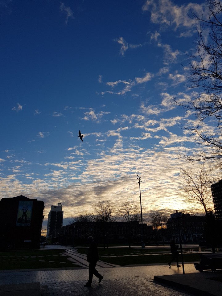 skyview