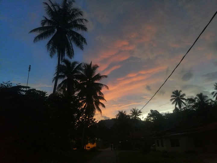dawn