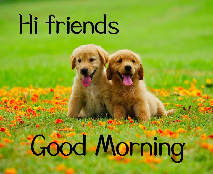 good Morning ?