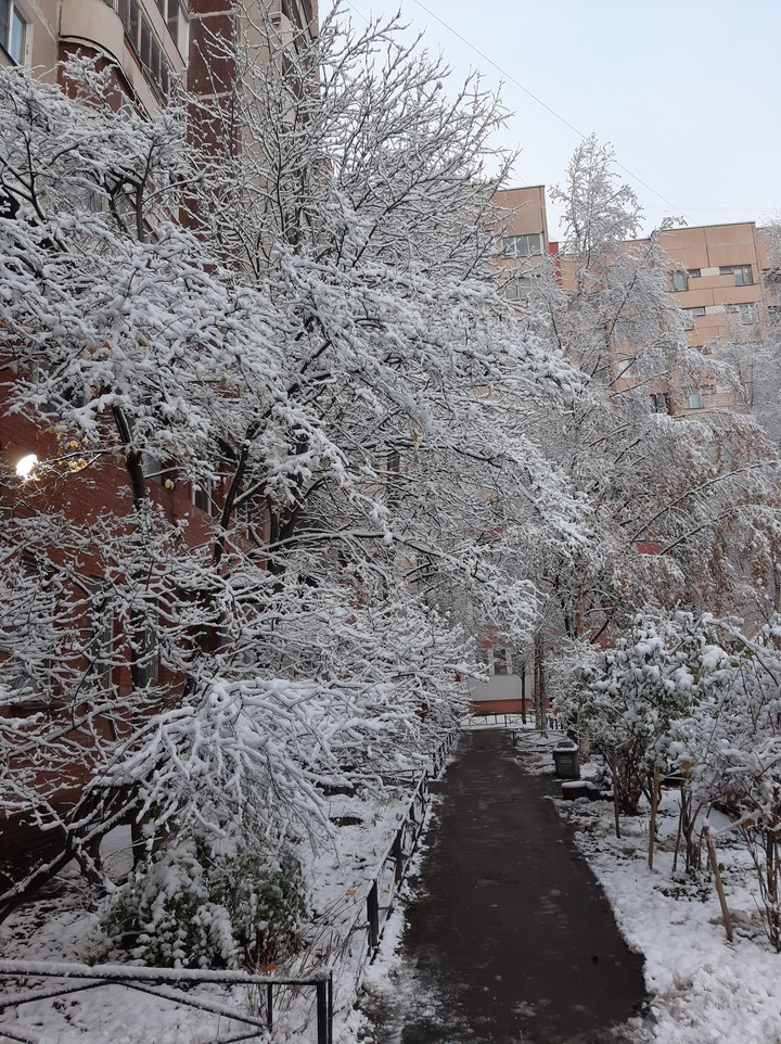 first snow