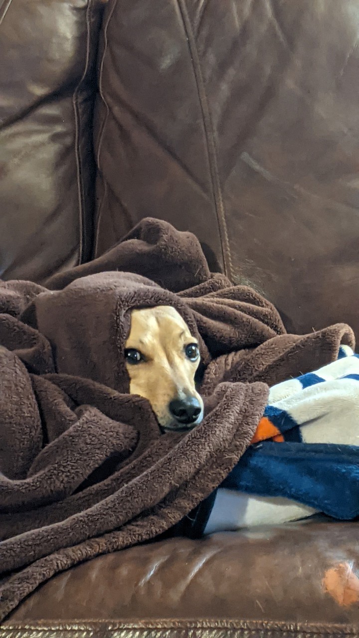 Obie Wan, you're my only hope