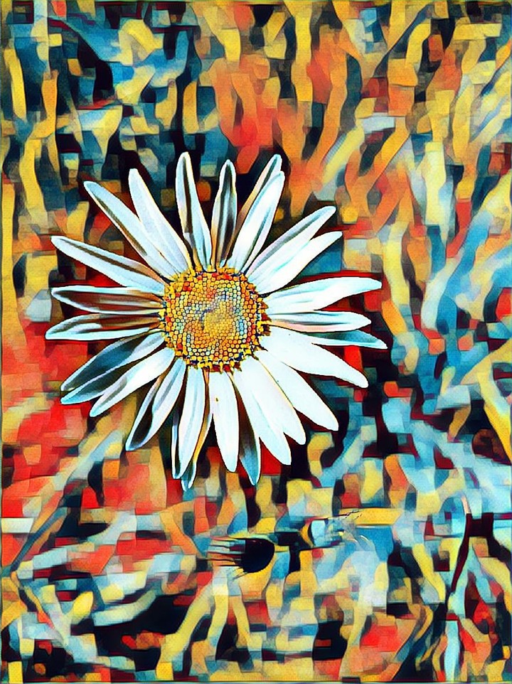wild flower bright colors