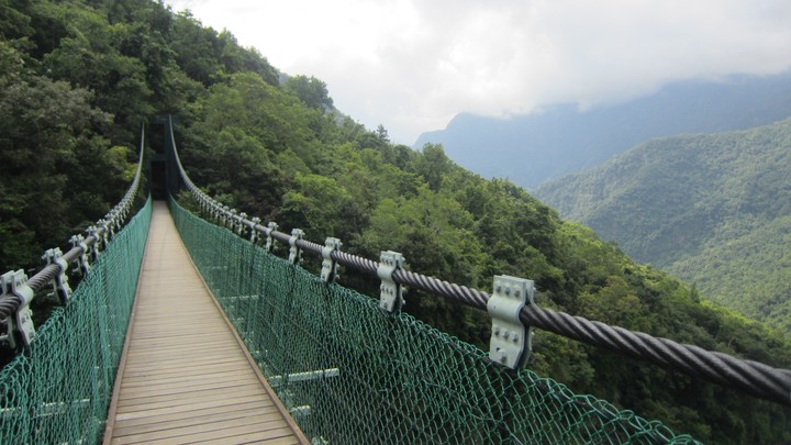 Suspension bridge