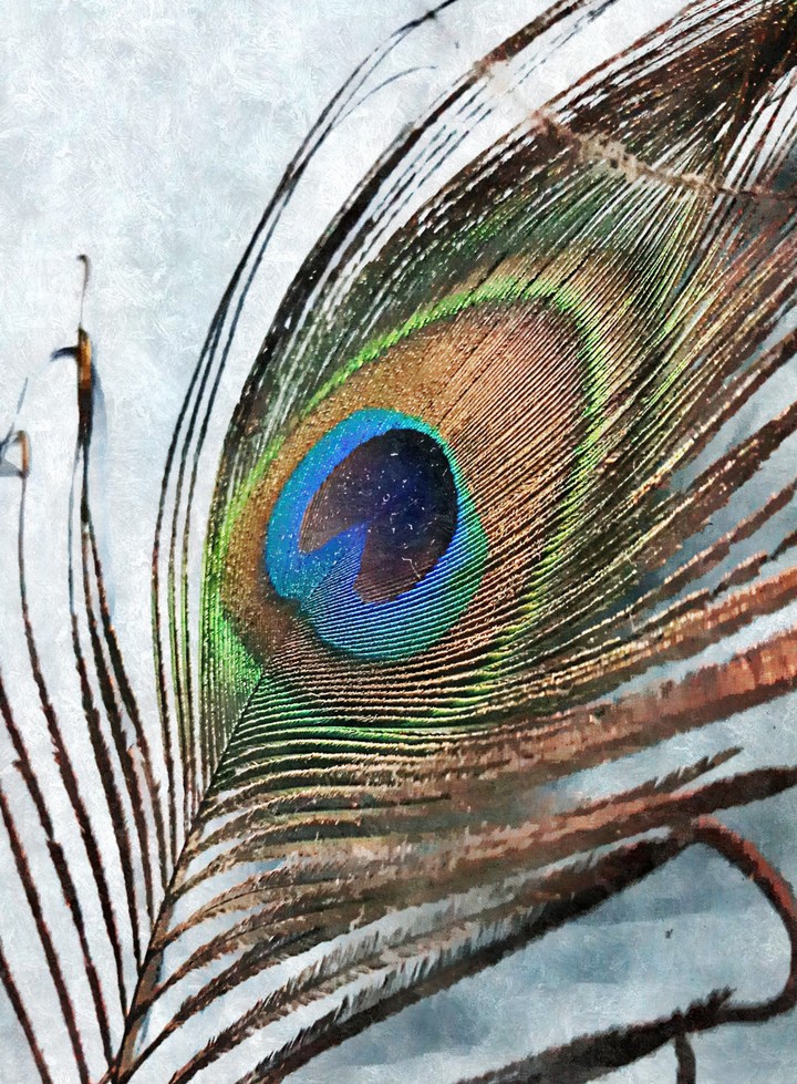 Feather