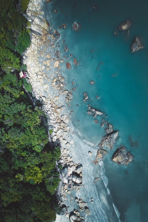 sea