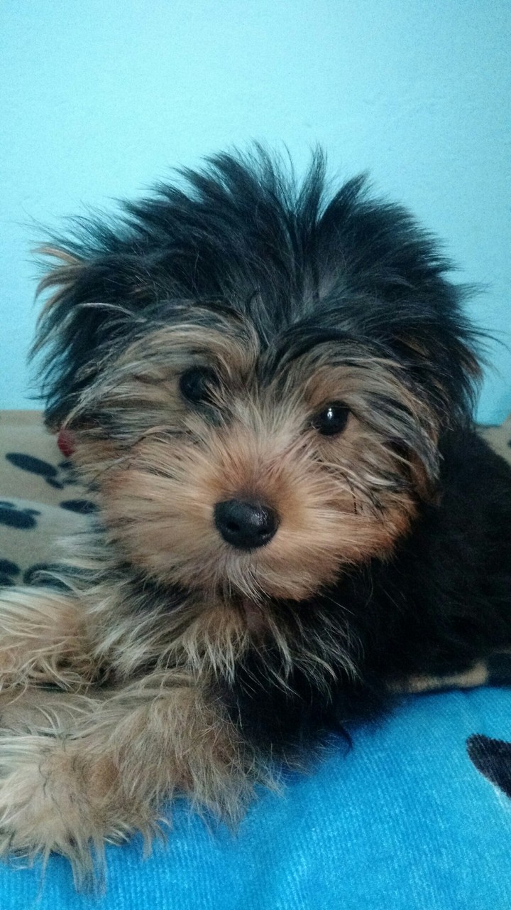 cute