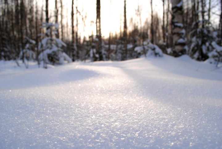 Russian winter