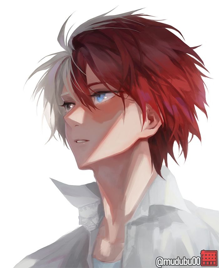 shoto todoroki